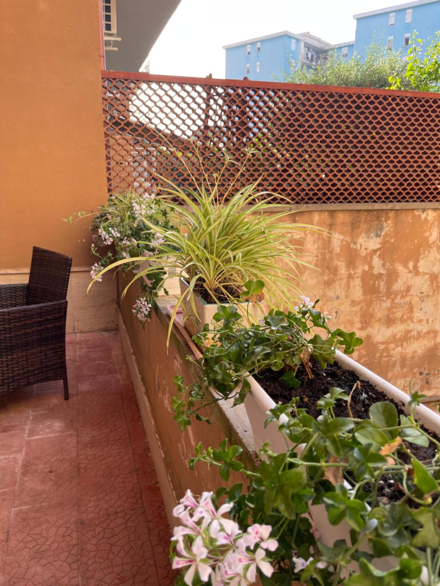 Oleander Apartment Castellammare di Stabia Zewnętrze zdjęcie